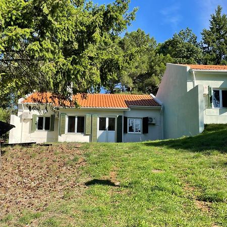 Bel Douro Villa Torre De Moncorvo Ngoại thất bức ảnh