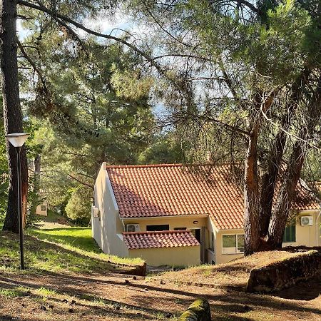 Bel Douro Villa Torre De Moncorvo Ngoại thất bức ảnh