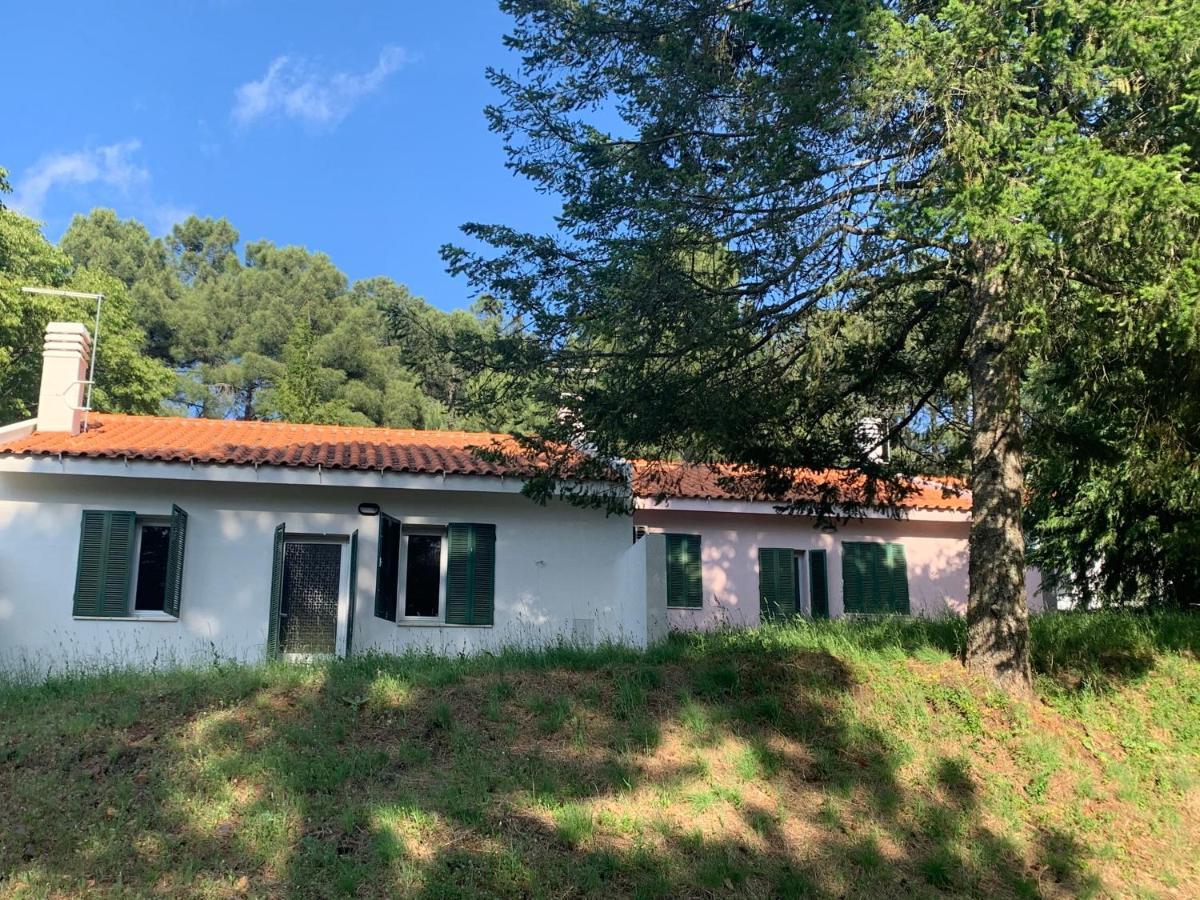 Bel Douro Villa Torre De Moncorvo Ngoại thất bức ảnh
