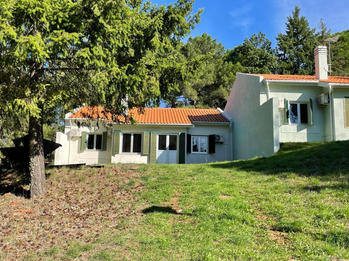 Bel Douro Villa Torre De Moncorvo Ngoại thất bức ảnh